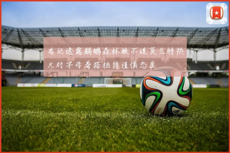 名记透露鹈鹕森林狼不追莫兰特热火对字母哥搭档持谨慎态度