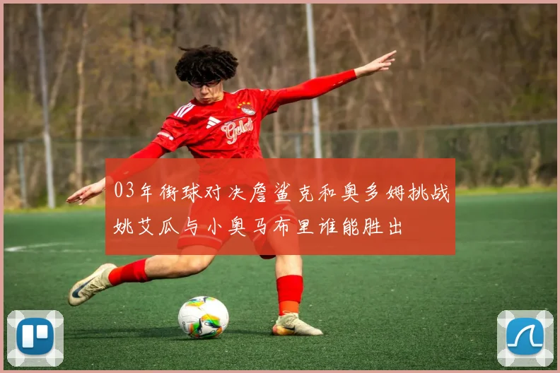 03年街球对决詹鲨克和奥多姆挑战姚艾瓜与小奥马布里谁能胜出